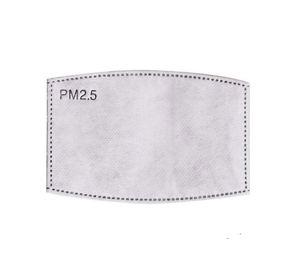 Replacement five-layer PM2.5 filter - pack of 2