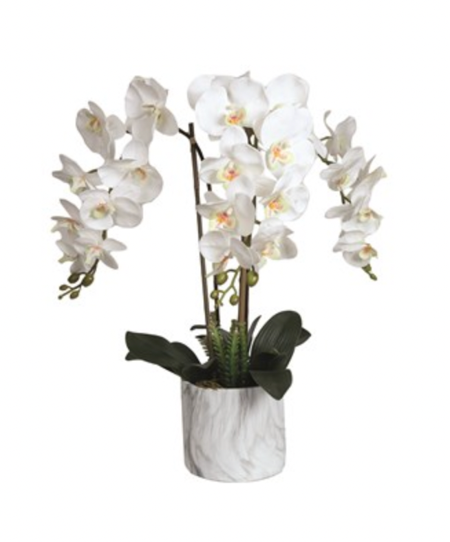 White Orchid 69cm In Marble Pot