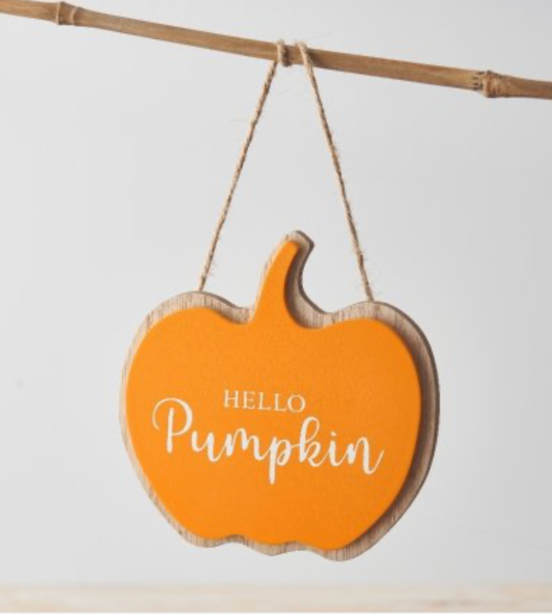 Autumn Hello Pumpkin Sign