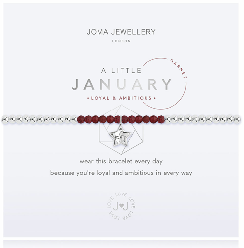 January Birthstone Bracelet
