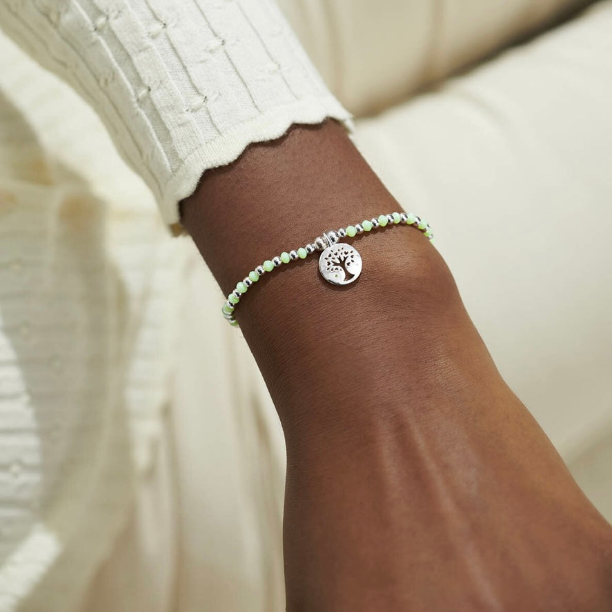 Family Colour Pop Bracelet
